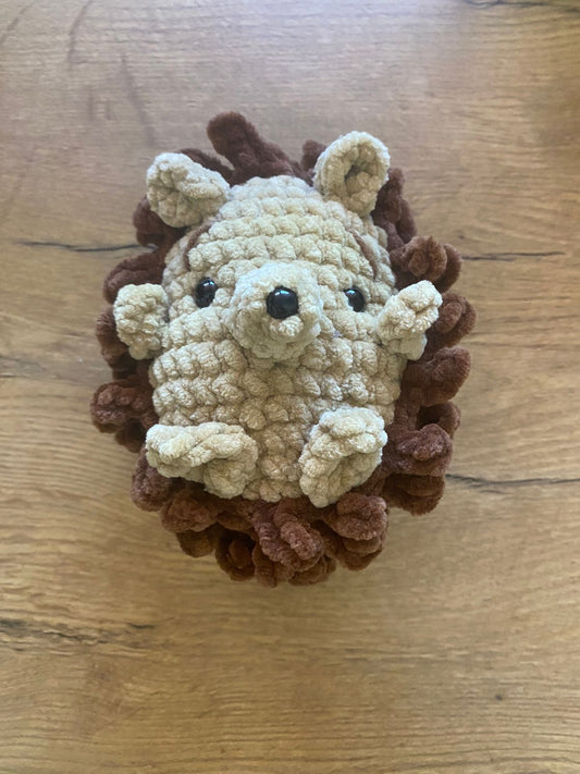 Hazel Hedgehog